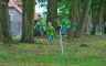 III_bieg_braniewscy_mali_twardziele_20190616_002.jpg