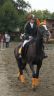 zawody_jezdzieckie_25082012_11.jpg
