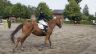 zawody_jezdzieckie_25082012_18.jpg