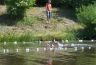 aquathlon_2013-06-16_03.jpg