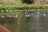 aquathlon_2013-06-16_08.jpg