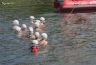 aquathlon_20170610_002.jpg