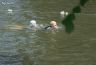 aquathlon_20170610_005.jpg