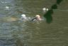aquathlon_20170610_006.jpg