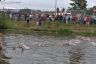 aquathlon_20190616_004.jpg