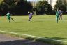 dab_kadyny_2012-09-09_02.jpg