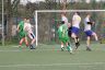 alpn_20120508_10.jpg