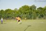 alpn_22052012DSC_0427.jpg