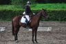 z_jezdzieckie_20120603_05.jpg