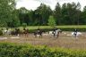 z_jezdzieckie_20120603_12.jpg