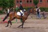 regionalne_zawody_jezdzieckie_20130720_00.jpg